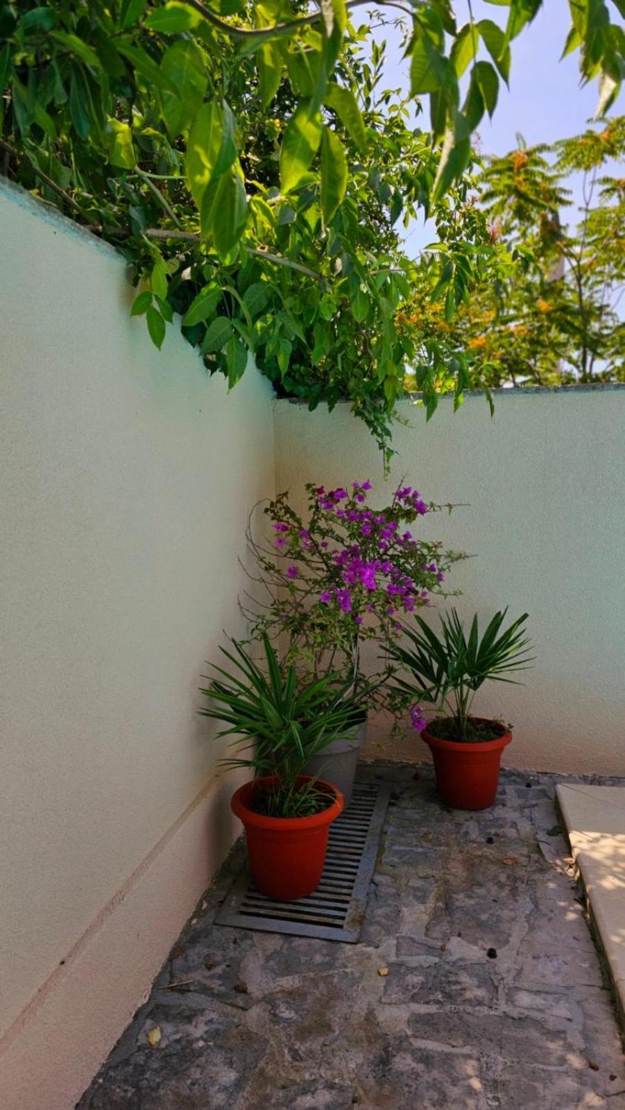 Lovely House With Swimming Pool Mostar Bagian luar foto