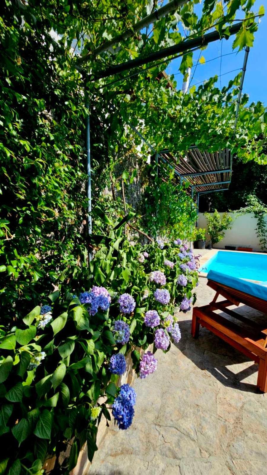Lovely House With Swimming Pool Mostar Bagian luar foto